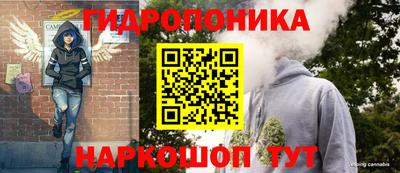 spice Кулебаки