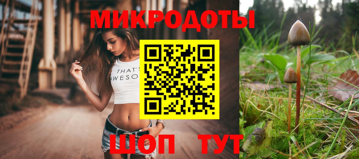Кизляр  Галлюциногенные грибы прущие грибы  Вход с VPN 