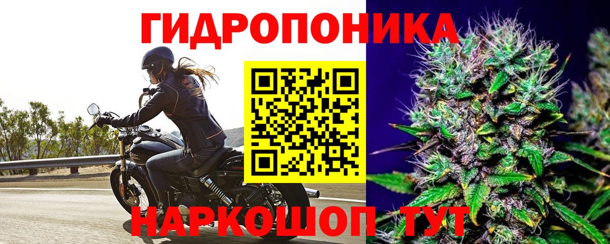 Конопля план Кизляр
